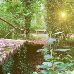 Rosemarie Warth – Persönlichkeitsberatung und Seelsorge